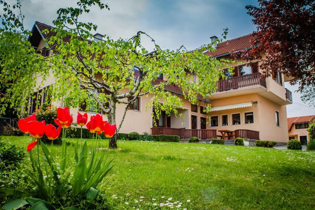 Apartments And Rooms Stefanac Слунь Екстер'єр фото